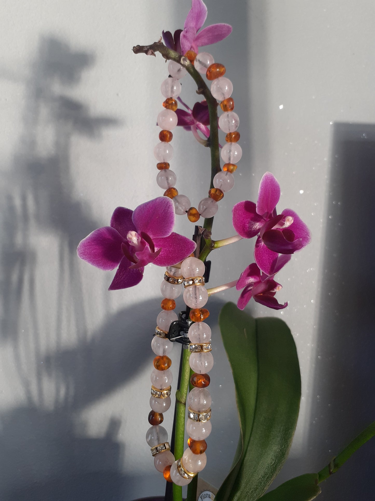 Bracelet ou chevillière Pierre d'ambre Quartz Rose